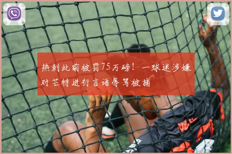 热刺此前被罚75万磅！一球迷涉嫌对芒特进行言语辱骂被捕